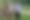 Enlarge the image