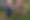 Enlarge the image