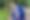 Enlarge the image